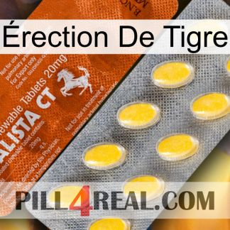 Érection De Tigre 42